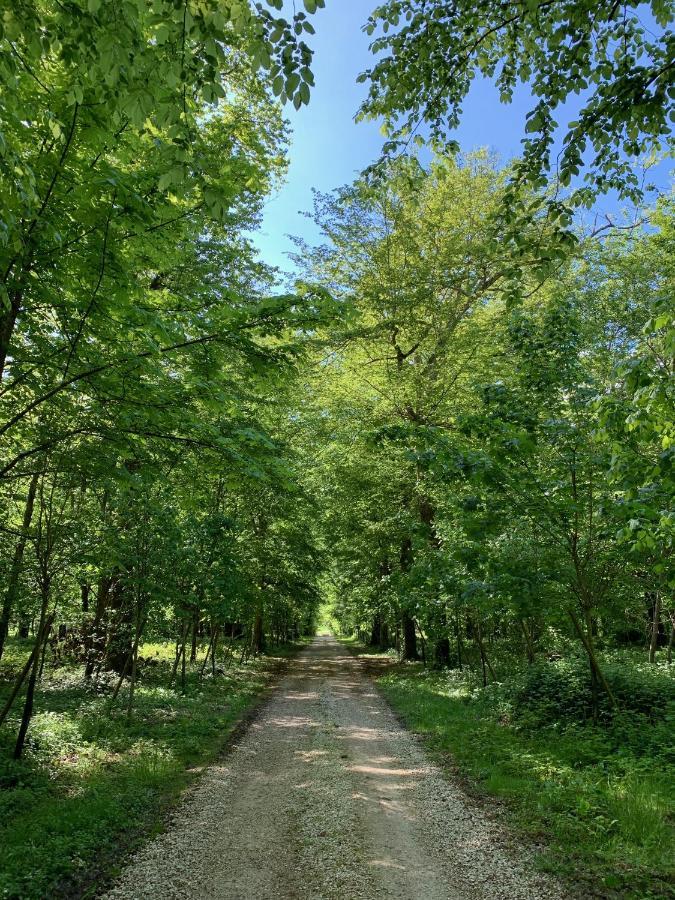 Chateau De Montabert Montaulin エクステリア 写真